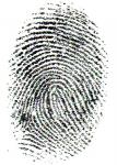 Fingerprint, original file