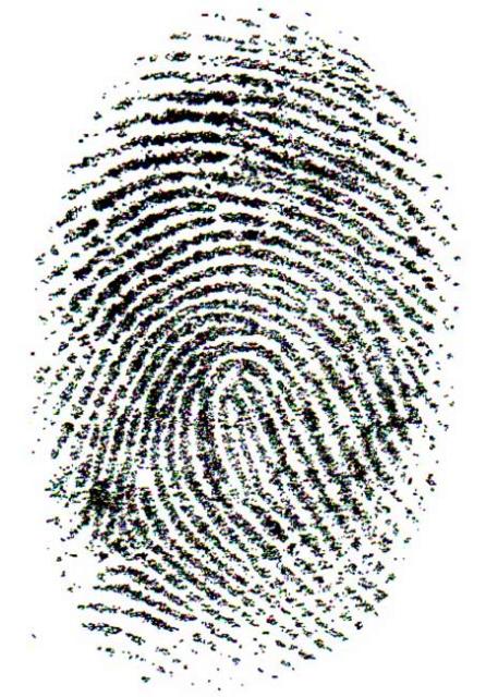Fingerprint, original file