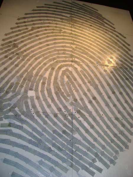 Eight-foot-Fingerprint